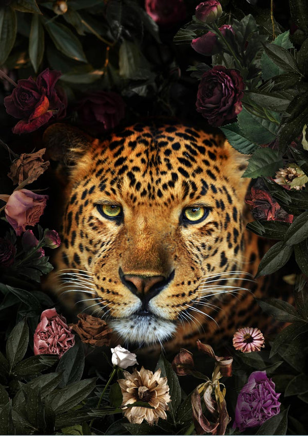 Leopard surrounded by colorful flowers, featured on the Leopard med blomster poster.
