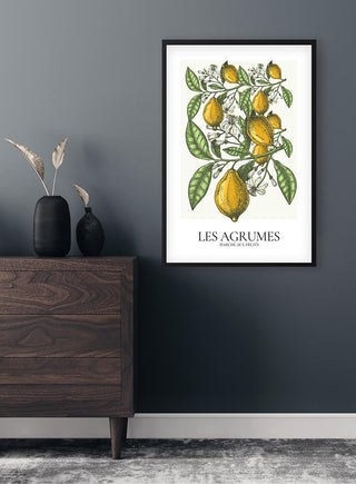 Framed Les Agrumes botanical print with lemons and leaves, hanging above a wooden dresser in a modern living room.