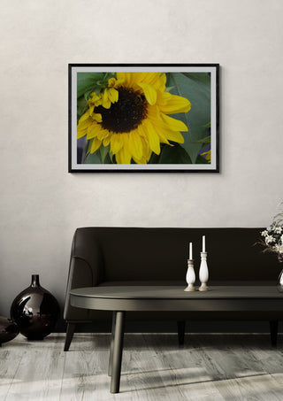 Solrosen som bäst by Ljilja Marinic in a black frame on a pale wall above a dark sofa with candlesticks