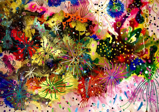 Floral explosion by Debbie Seenan - colourful flowers bursting across the sheet with black starbursts