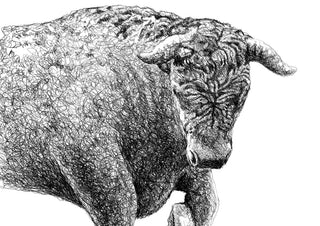 Taurus by Designus - bull with curved horns drawn in scribbled black ink on white