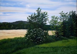 Elderflower by Juergen Duerrmann - an elder bush in white bloom at the edge of a green meadow