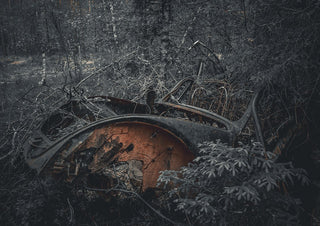 Decay (3) by Lone Gjessing - an orange rusted car wreck lying among branches in a cold grey forest