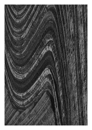 Traces by Lone Gjessing - ploughed fields in long curving lines seen from the air in black and white