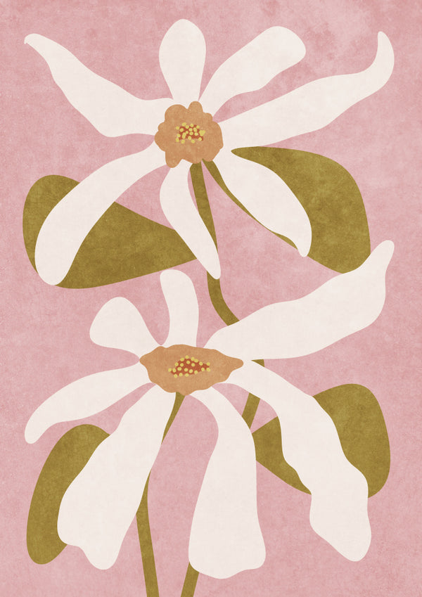 Abstract illustration of two white flowers with green leaves on a pink background, by Raissa Oltmanns.
