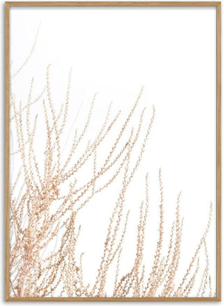 Abstract Reeds No. 4 Poster