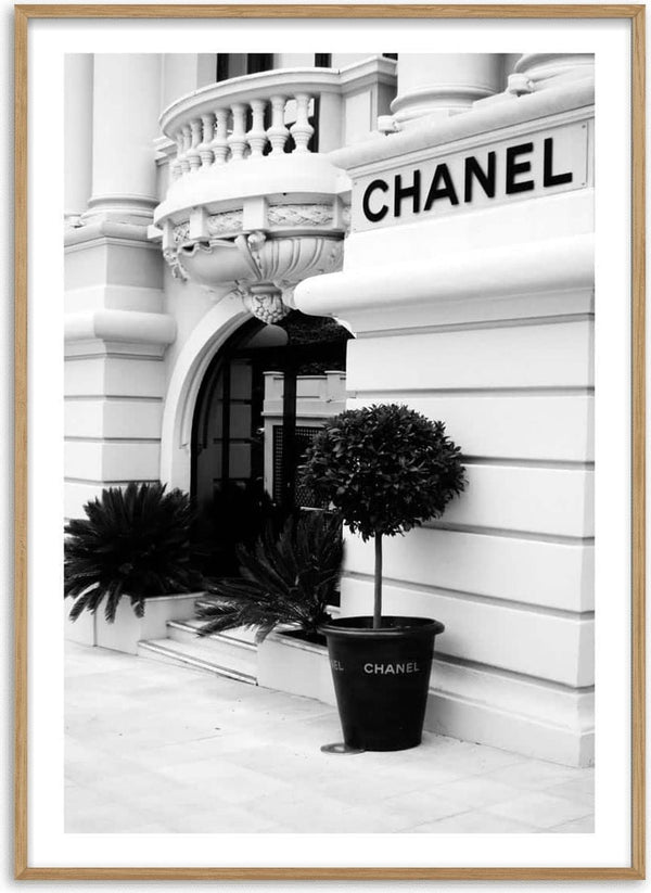 Elegant Chanel boutique entrance with black potted plant and classic architectural details.