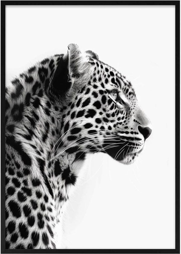 Stylish black and white profile of a leopard for the Fashion Leopard Artsy Edition product page.