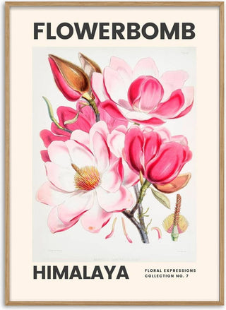 Flowerbomb - Himalaya Kunstposter