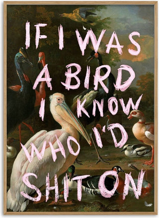 If I Was A Bird - Jonas Loose