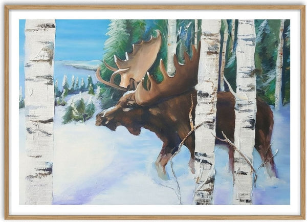Moose by creatievananne - a bull moose among birch trunks in a blue winter wood