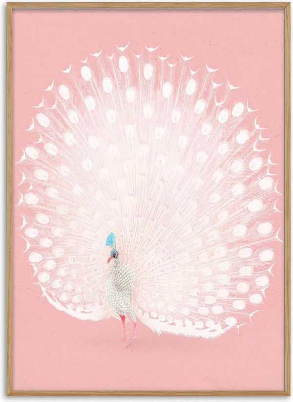 Pink peacock by Ohara Koson poster