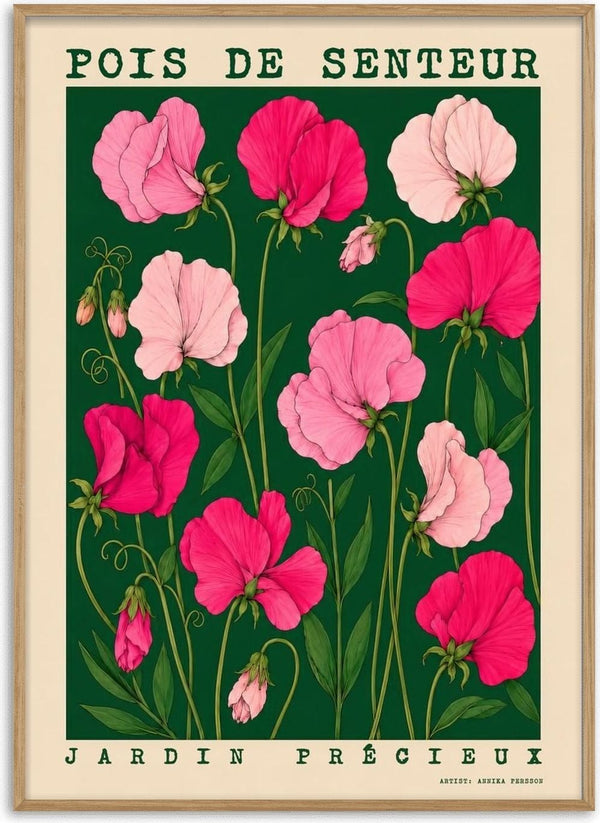 POIS DE SENTEUR by Annika Persson - pink sweet peas on a dark green botanical panel