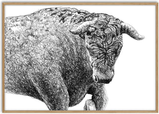 Taurus - Designus