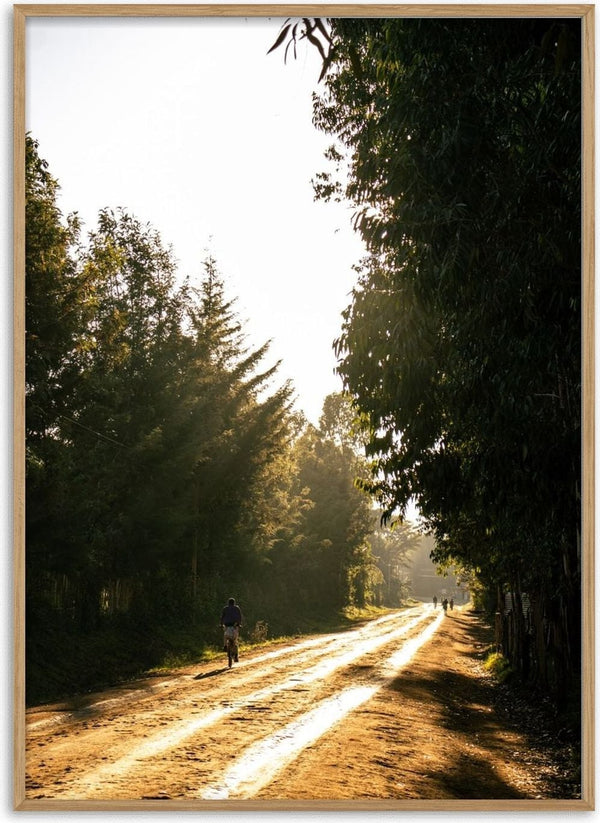 The Open road by Gloria Mwivanda - a sunlit dirt road between tall eucalyptus trees